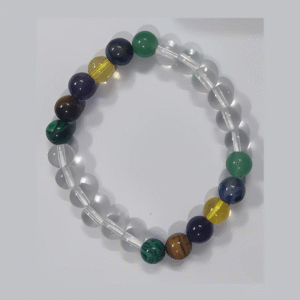 Student Bracelet