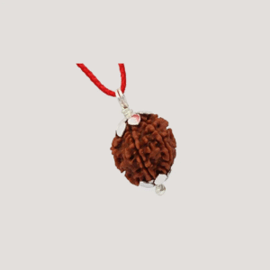 4 Mukhi Rudraksha