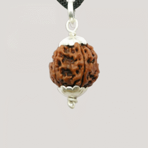 4 Mukhi Rudraksha