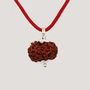 8 Mukhi Rudraksha