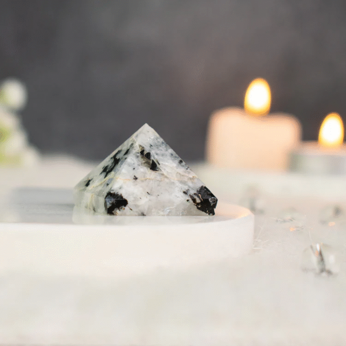 1_2_4c20f255-04c1-42b2-8494-d03e728a28b4 1_2_4c20f255-04c1-42b2-8494-d03e728a28b4